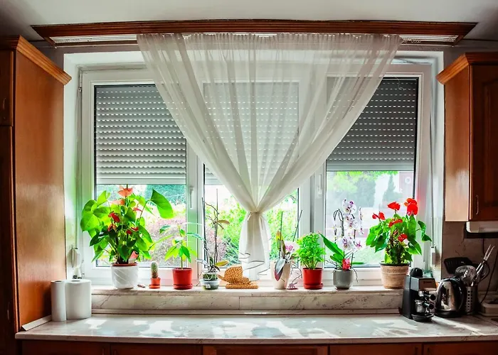 Illyes Vendeghaz بيت للعطل